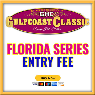 Florida Series Entry